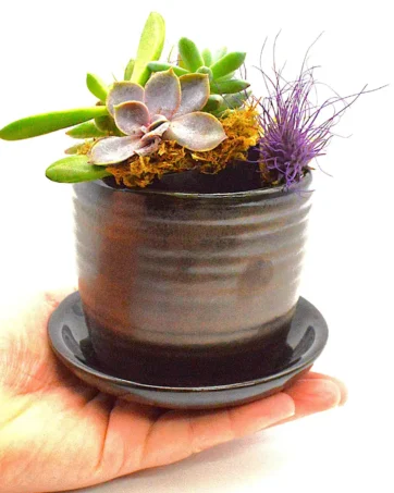 Small Bronze Ribbed Planter with Saucer