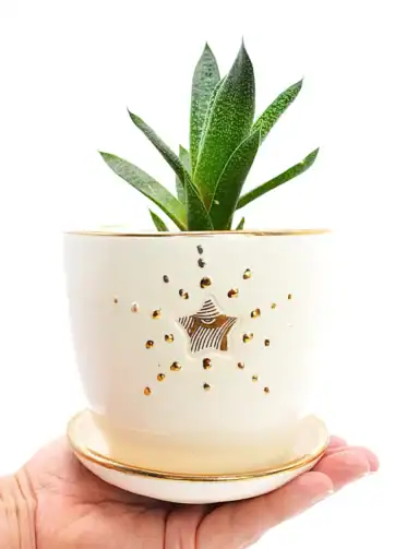Small 22K Gold and White Planter & Flowerpot