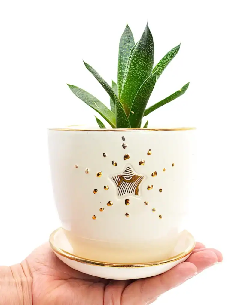 Small 22K Gold and White Planter & Flowerpot
