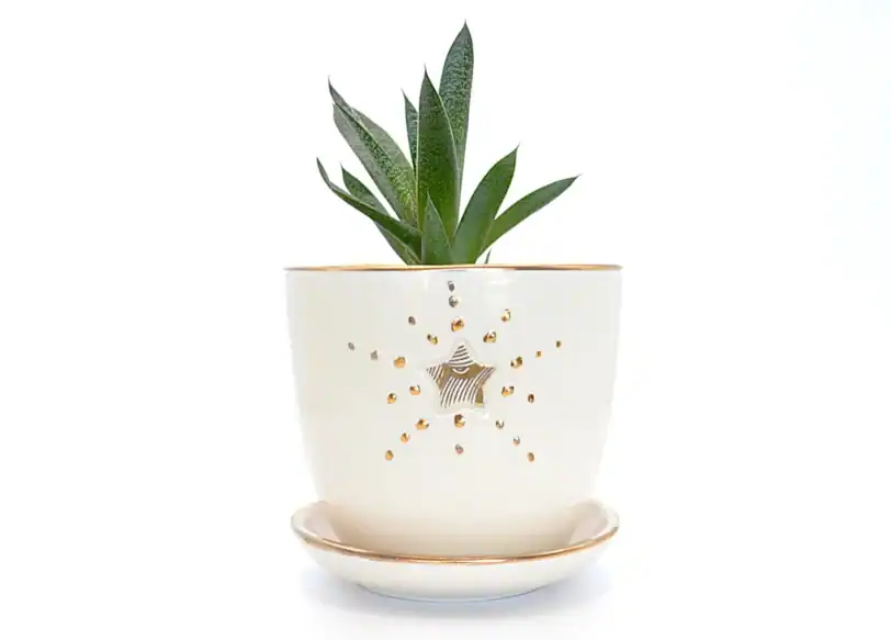 Small 22K Gold and White Planter & Flowerpot - Image 5