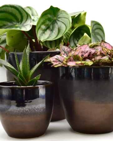 Bronze Flowerpot, Personalized Planter Pot - Large