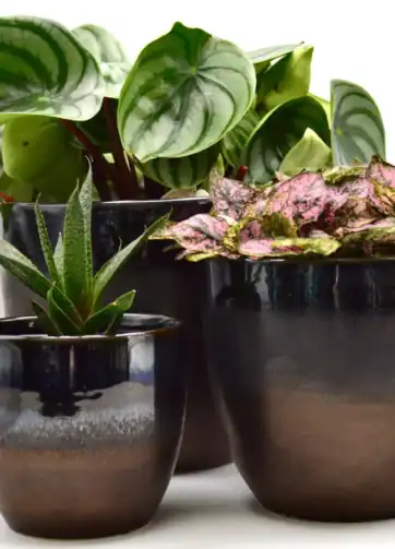 Bronze Flowerpot, Personalized Planter Pot - Large