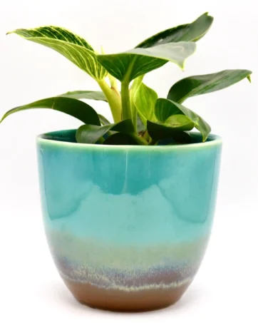 Ceramic Planter, Colorful Glazed Flowerpot - Large