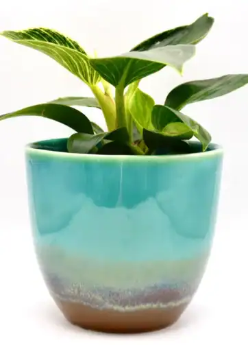 Ceramic Planter, Colorful Glazed Flowerpot - Large