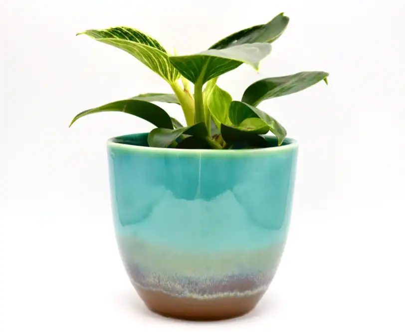Ceramic Planter, Colorful Glazed Flowerpot - Image 2