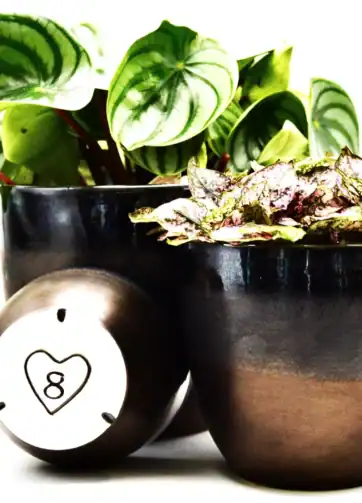 Bronze Flowerpot, Personalized Planter Pot