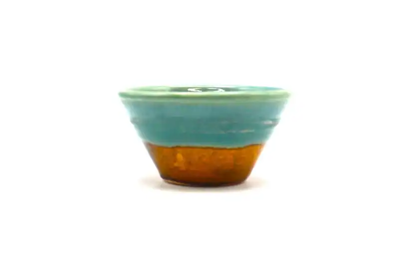 Ceramic Germination Plate, Propagation Plate, Avocado Starter Dish - Image 3