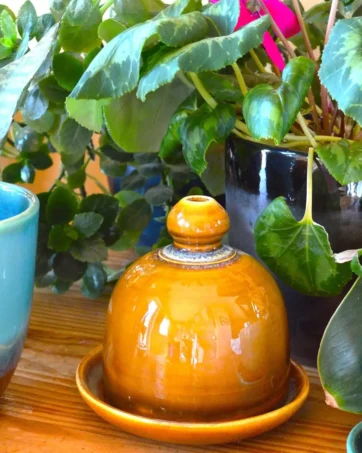 Pottery Watering Bell with Catch Dish