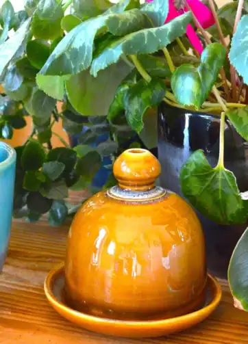 Pottery Watering Bell with Catch Dish