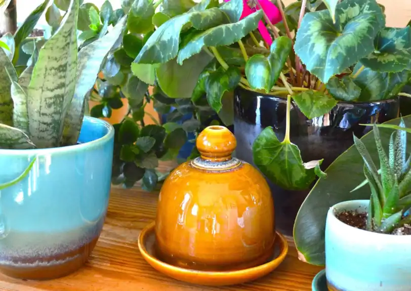 Pottery Watering Bell with Catch Dish
