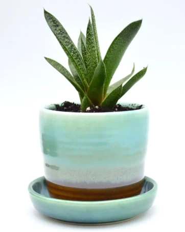 Colorful Ceramic Plant Pot with Drainage Saucer - Green and Brown