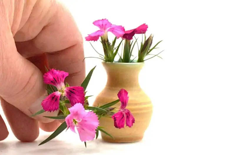 Mini of the Month: January, Tiny Mommy Pot, 1 1/2" tall - Image 2