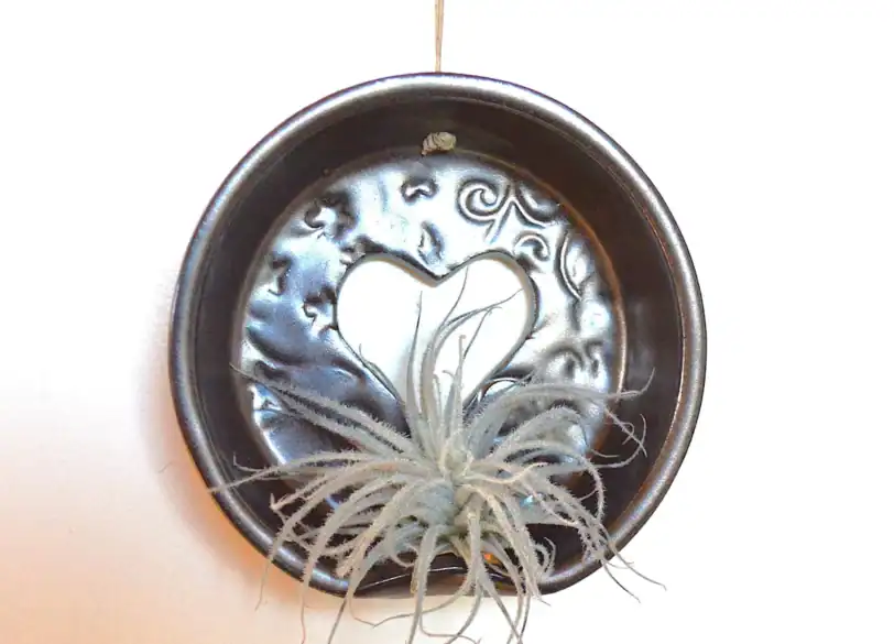 Hanging Ceramic Air Plant Pot, Personalized Wall Vase
